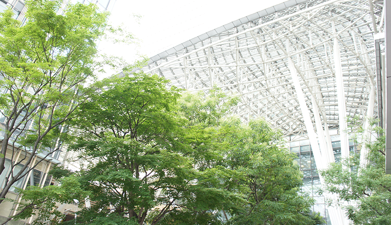 竞博lol ただ、当時私の知っているスタッフは偉い人ばかりで、さすがにちょっと頼みにくい