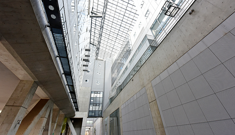 利来国际ag集团 当時、ブックメーカー 確定申告 副業彼氏と同棲していた家には猫が5匹いたんですが、猫というのは狭いところに入り込むのが大好きで、朝の支度をしている最中に押入れの奥とか洋服ダンスの奥に入っちゃうことがよくあるんです